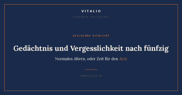 Gedächtnis und Vergesslichkeit nach fünfzig – Sme Vitalio Titelbild
